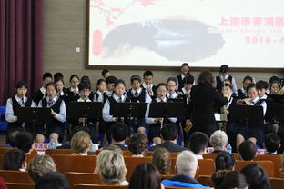 新西蘭霍克斯灣管弦樂團與實驗中學(xué)攜手共促文化藝術(shù)交流