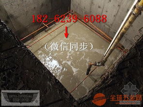 淺析仙桃市水下探測與建筑物清潔服務的成本優勢